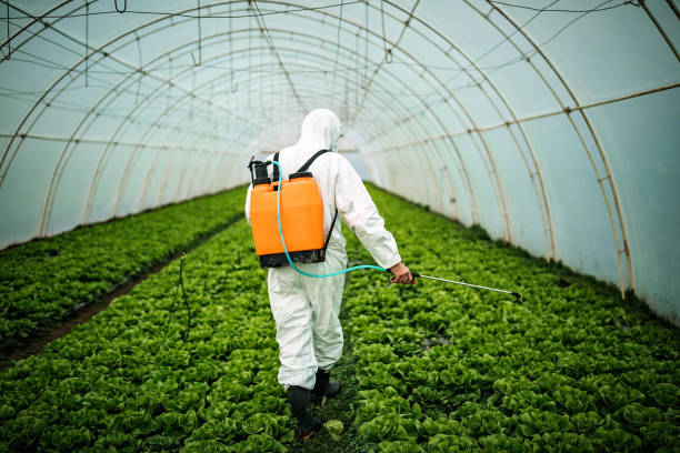 Best Pest Removal Services  in Schofield, WI