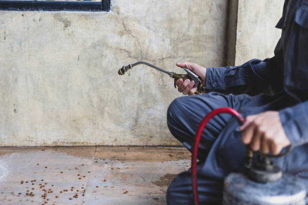 Best Rat Extermination Near Me  in Schofield, WI